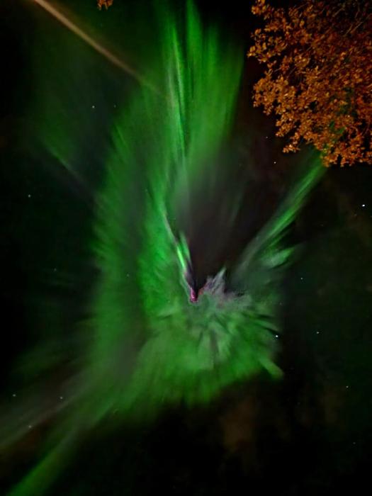 Fishermens House, 3 bedrooms apartment near the sea Medby Senja