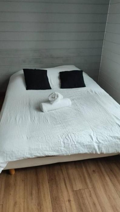 Le Coeur, Studio central refait à neuf, au calme