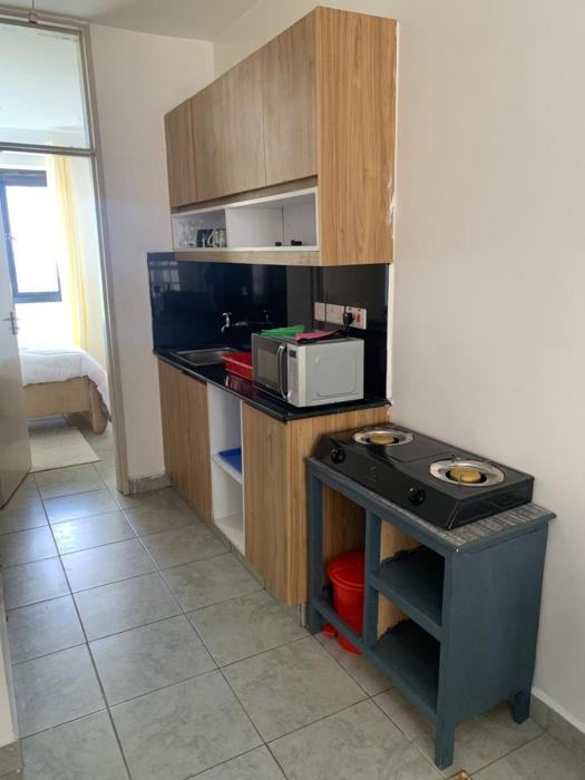 Affordable One bedroom along Thika road