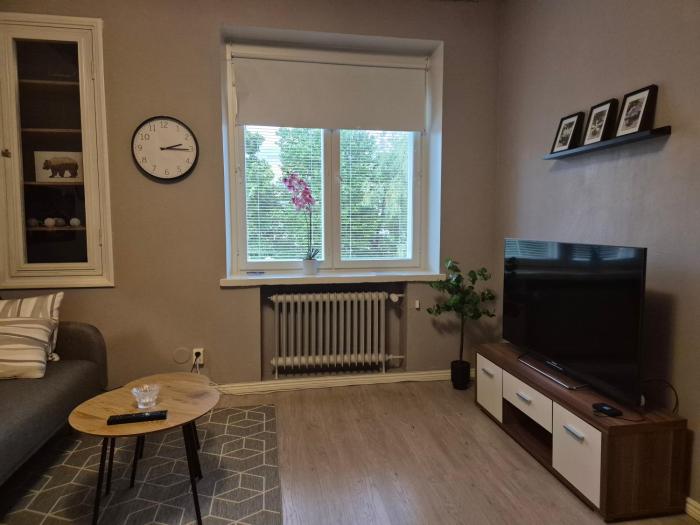Central Studio in Vaasa with Free Parking