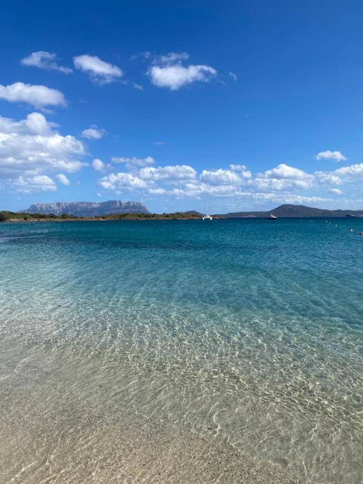 DreamHouse B&B Olbia