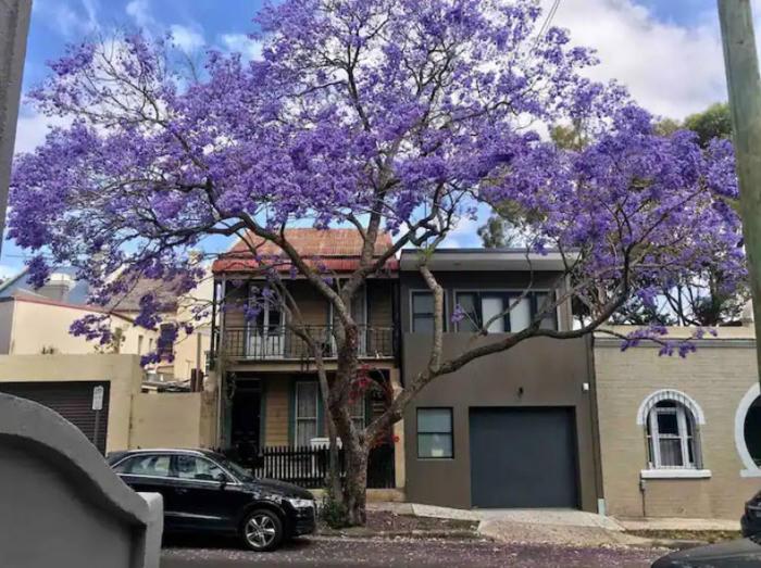 FOSS4A - A Private Garage Suite in Forest Lodge