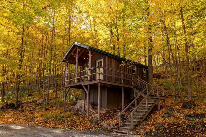 Treehouse Cabin in Riverton, WV