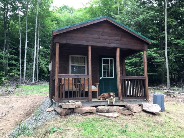 Log Cabin for Family Glamping Vacation near Cherry Springs State Park, Pennsylvania