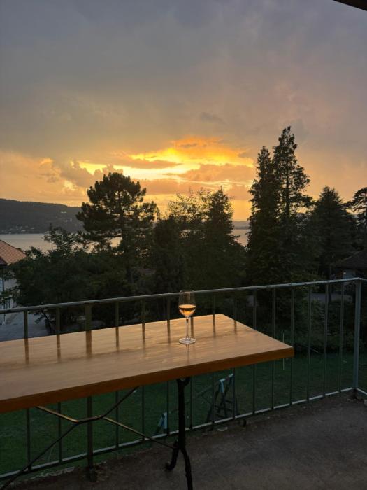 La-Villanelle - Magnifique vue sur le lac, 5 minutes à pied de la plage