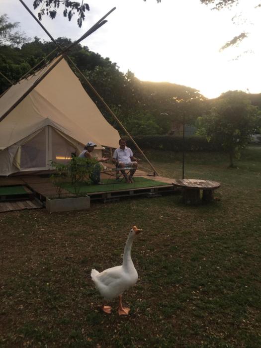 5m Belle Tent for 4 people