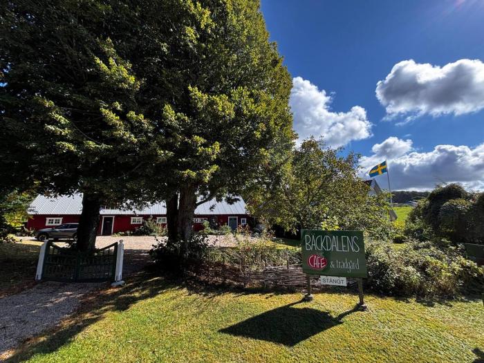 Bäckdalens Bed and Breakfast & Café