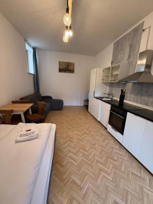 Gasthof zum goldenen Schiff - Budgetwohnung im Hotel