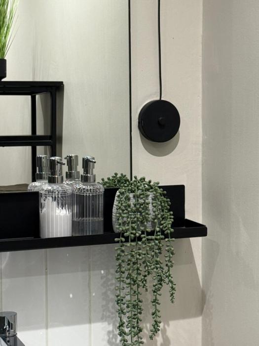 Luxury Apartment in sandton CBD