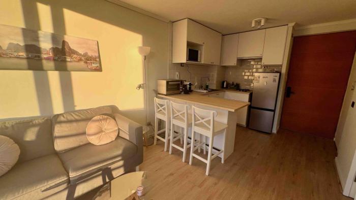 RD175 Acogedor y luminoso departamento amoblado en el corazón de Providencia