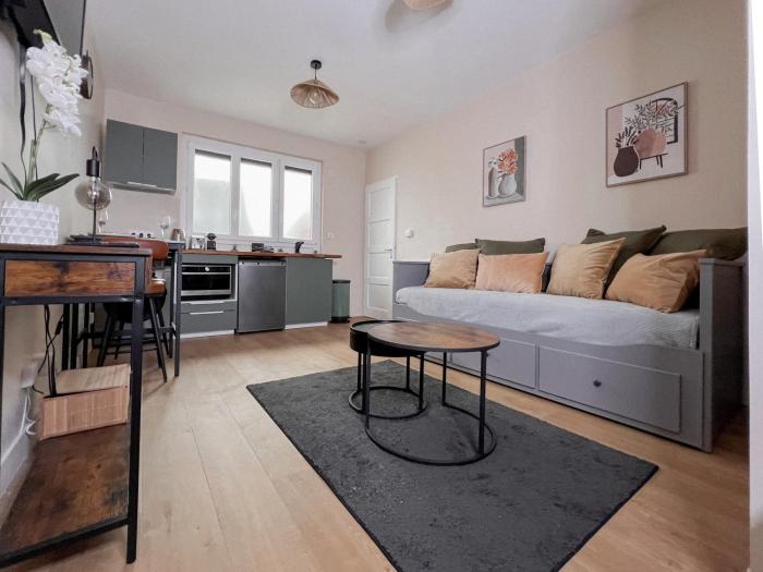 Le pédestre - Appartement cosy hyper centre-ville de DIJON