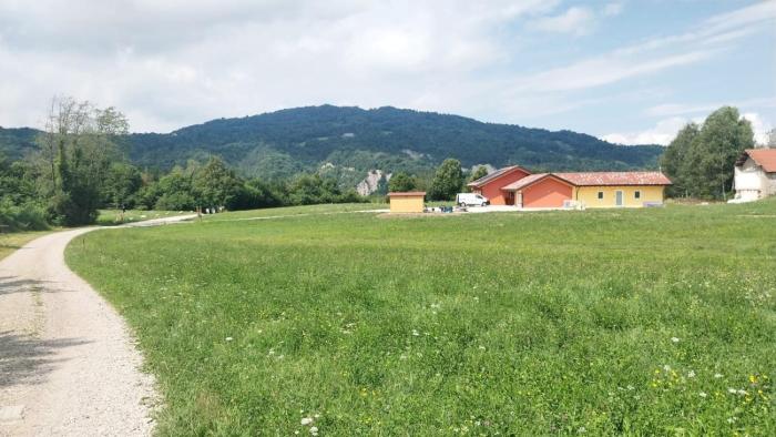 la tana della gallina