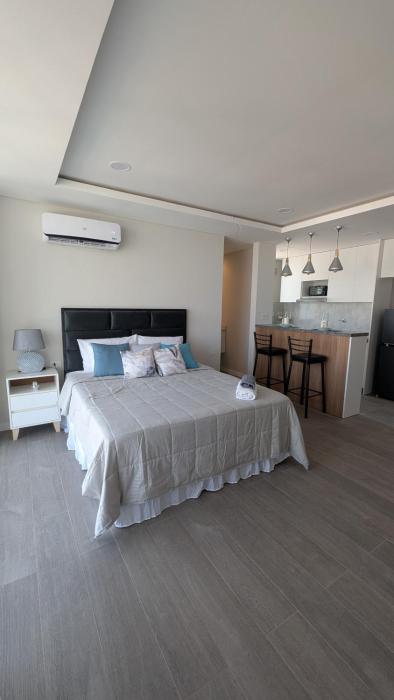 Hermoso departamento monoambiente