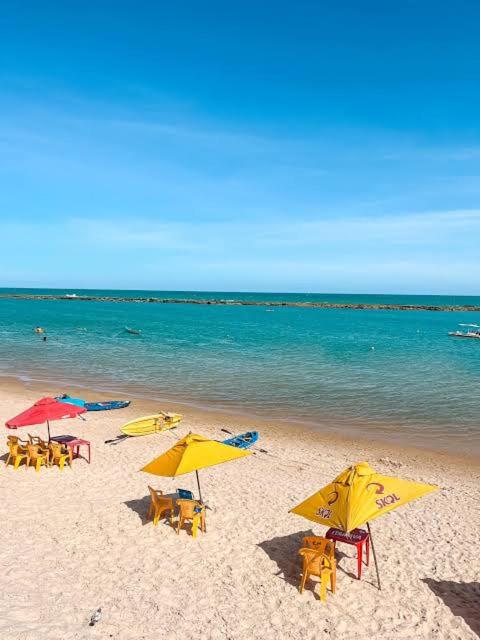 Taipa da Barra de São Miguel