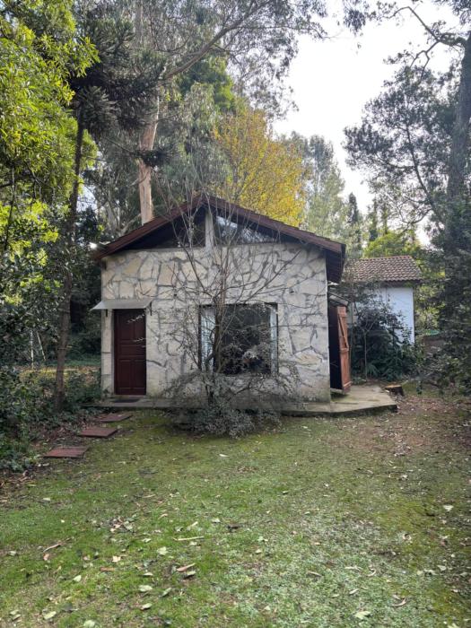 Aneley Cabañas Bosque Peralta Ramos