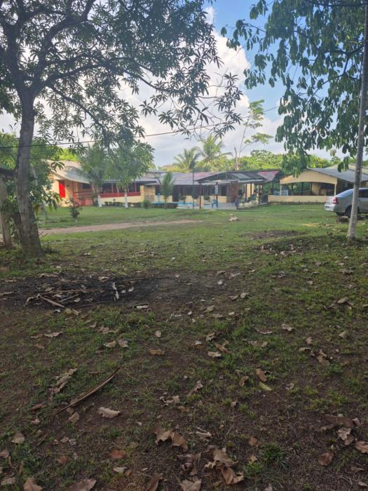 chacara cheiro da mata