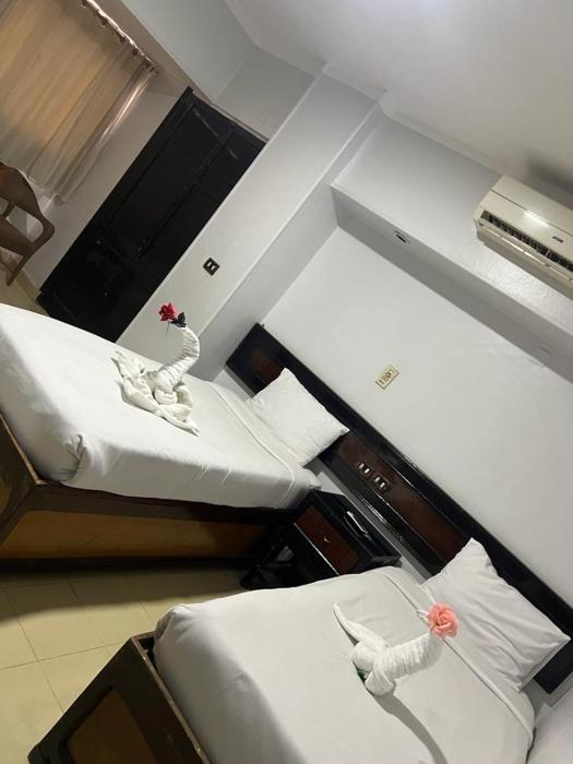 Oscar Hotel Aswan 中國人之家