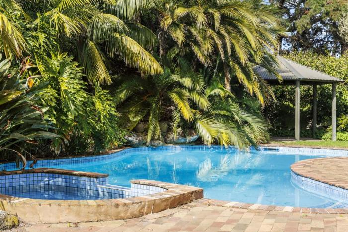 Poolside Palms Oasis