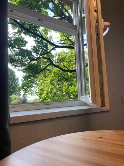 "Pas draugą" Greenhill