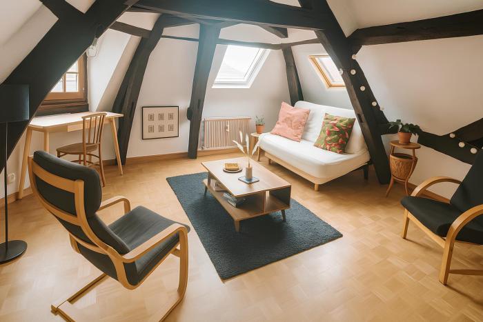 Buffon Ménage et linges inclus