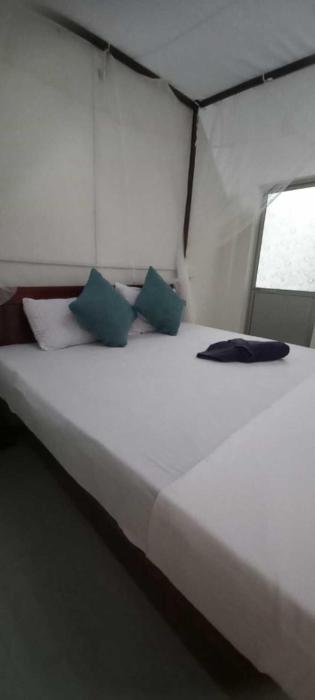 Eco Home Stay and Safari