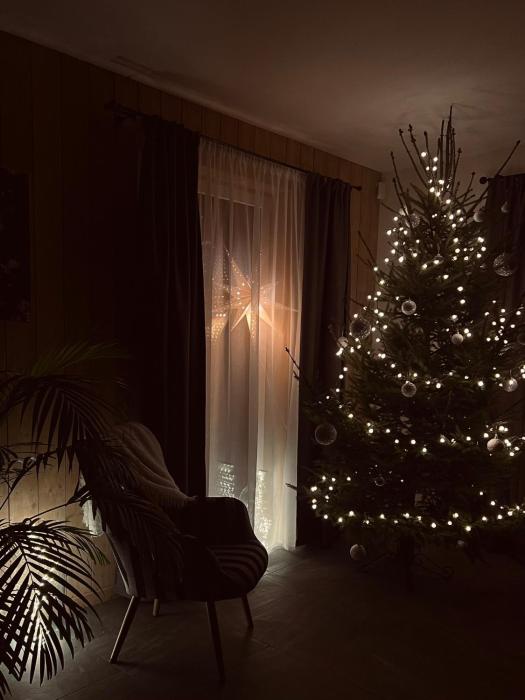 Brīvdienu māja & pirts meža vidū - Saraiķu Sanderi