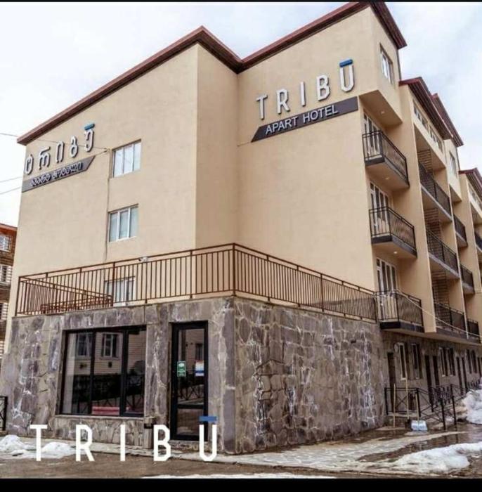 Tribu apart Hotel bakuriani