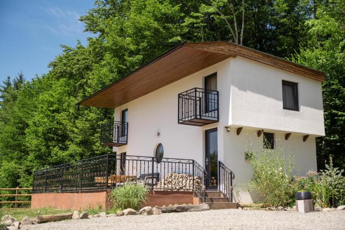 Holiday Nature House