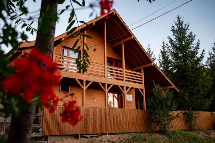 Pensiunea Pepe Panzió