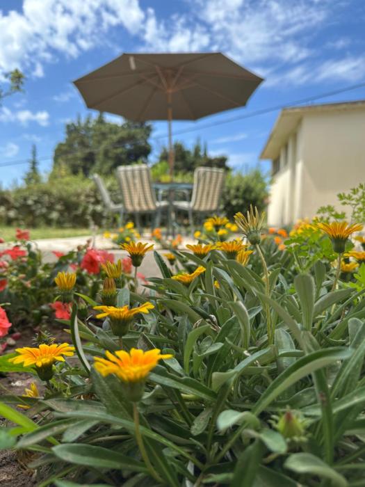 Stari Bar Apartments