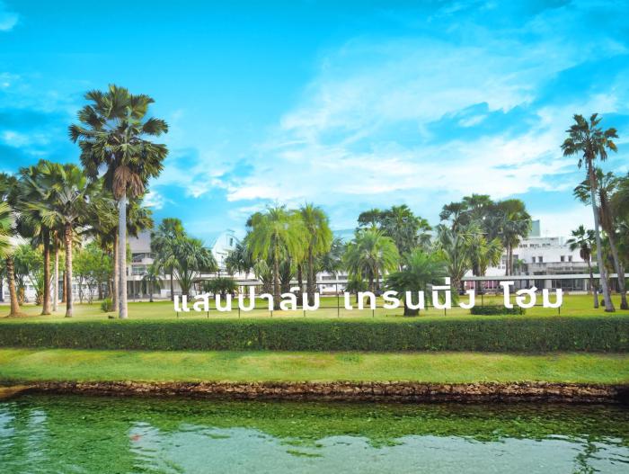 Saenpalm training home แสนปาล์ม เทรนนิ่ง โฮม