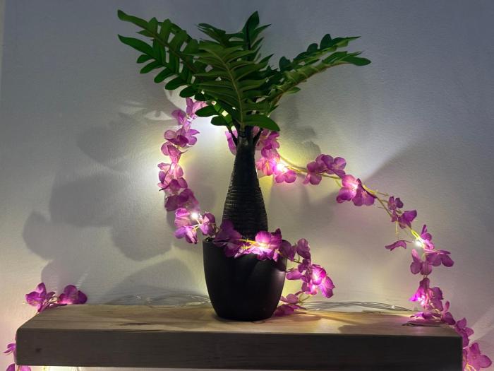 Swarga Fireflies Swarm