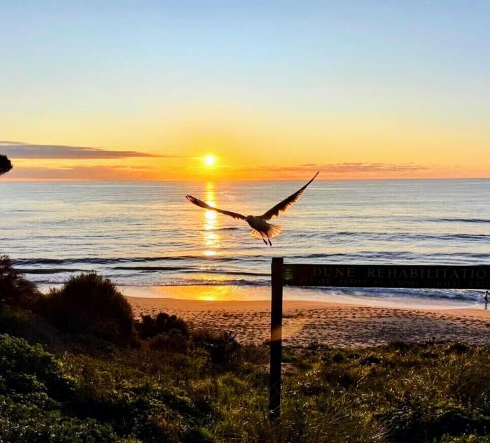 Falcon Bay Family Retreat