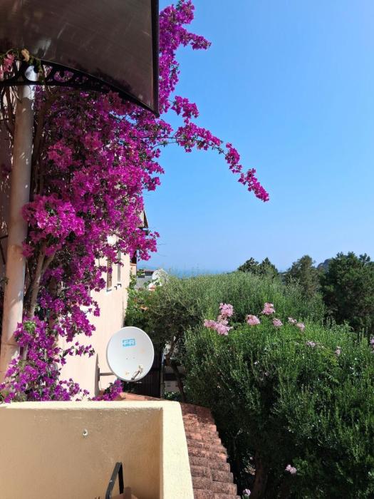 Stella Marina, Porto Rotondo