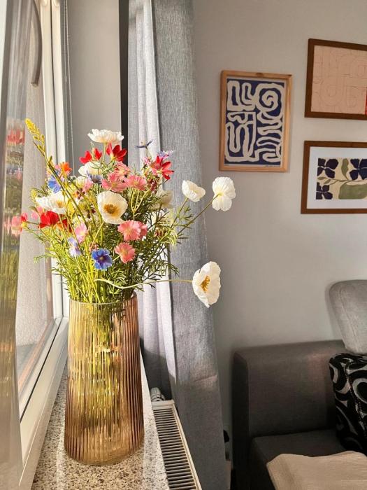 OSKA Apartament przy parku, klimatyzacja, TV, parking, Tauron, Expo, komunikacja miejska