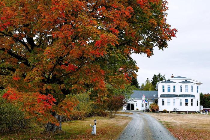 The Parrsboro Mansion Inn