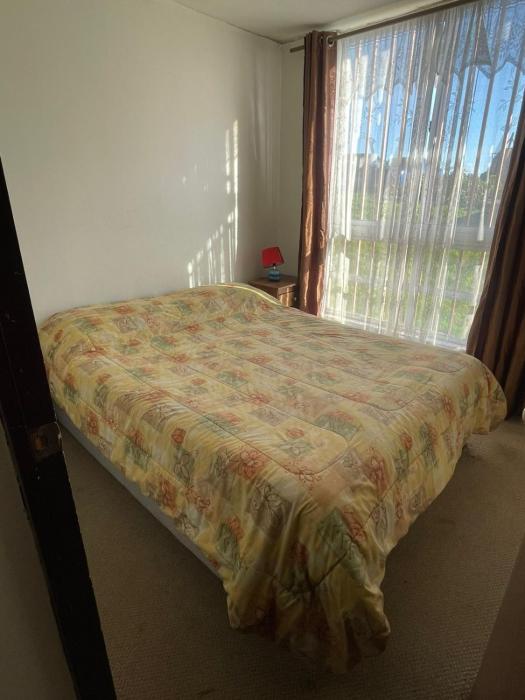 Alojamiento Araucania Centro