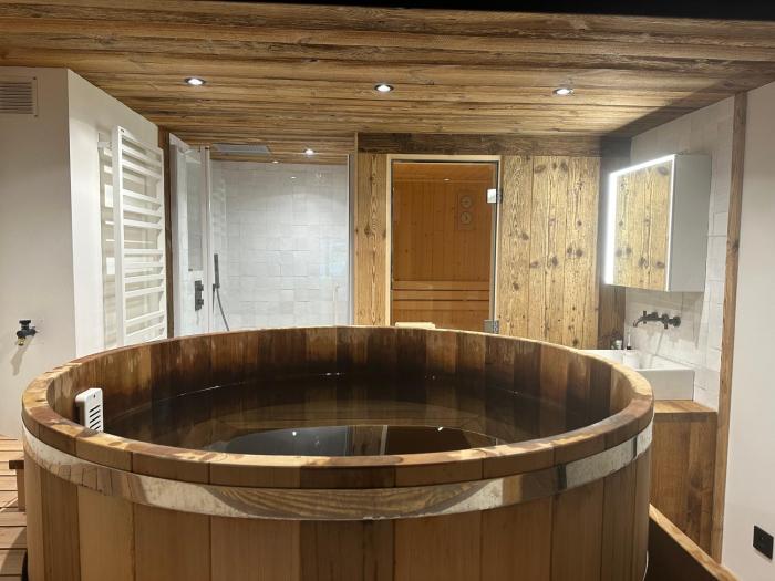 Appartement cosy-spa wellness sur les pistes