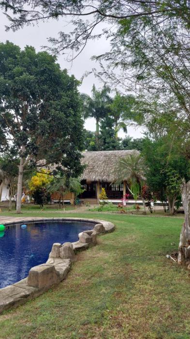 Palms Oasis Montañita