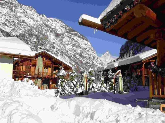 Pet-Friendly Mountain Escape