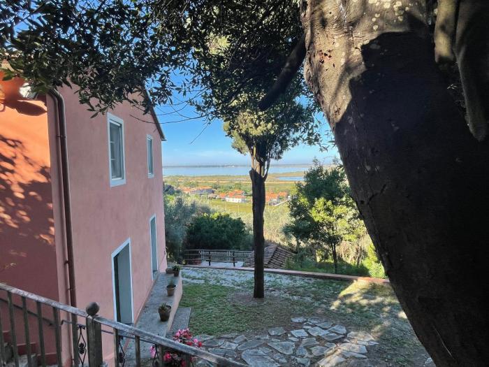 Reflections on the Lake Apartment