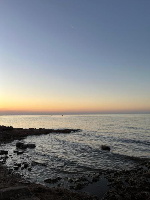 Relax in New Andalucía- Tu refugio costero con pileta