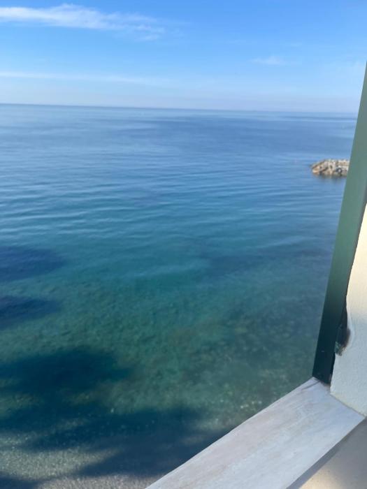 Il nido sul mare blu