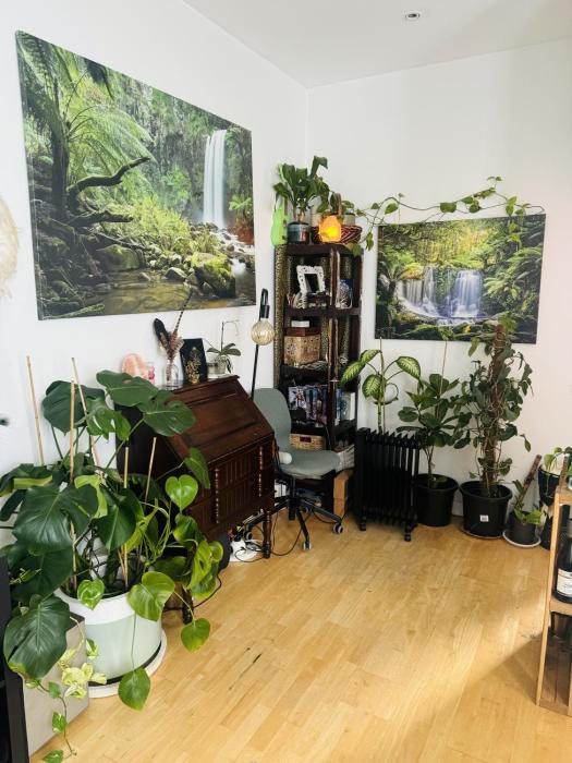 Rainforest Sanctuary