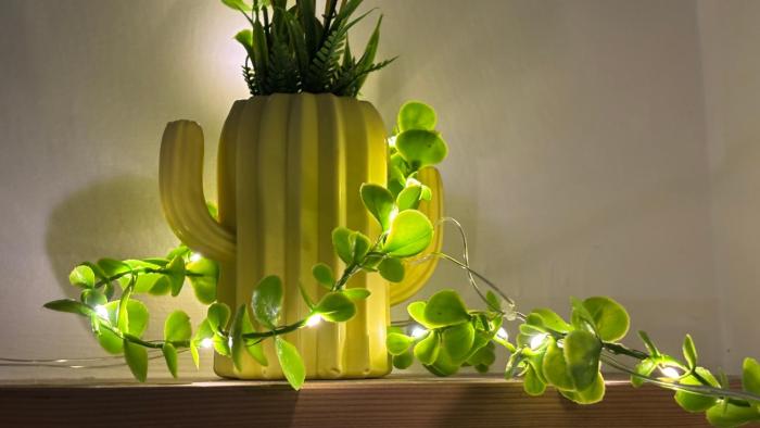 Swarga Fireflies Ranger