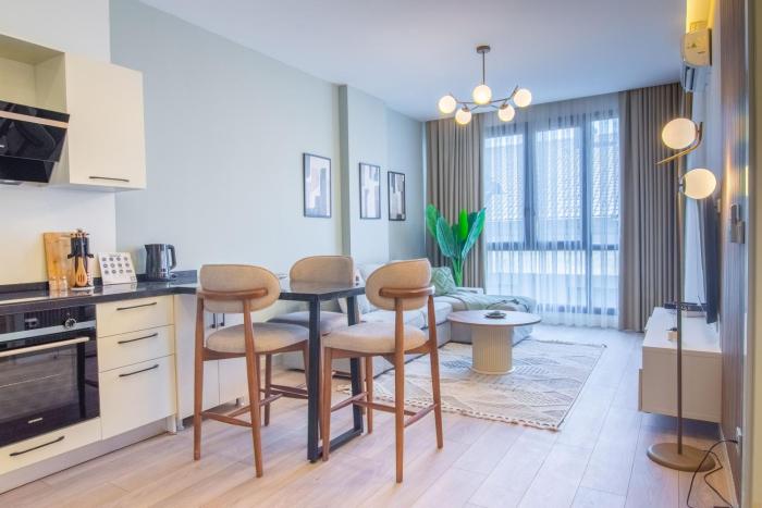 Modern & Stylish 1 Bdr Taksim Palas Living
