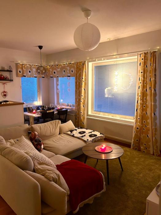 Nordic Penthouse in the city