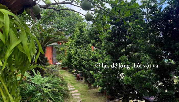 Bao Ong Thien Retreat and Senior Living - Khu Nghỉ Dưỡng Bào Ông Thiền