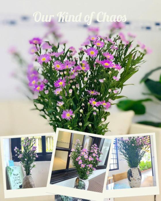 Little Nest Home Phan Thiet - Tổ Ấm Nhỏ