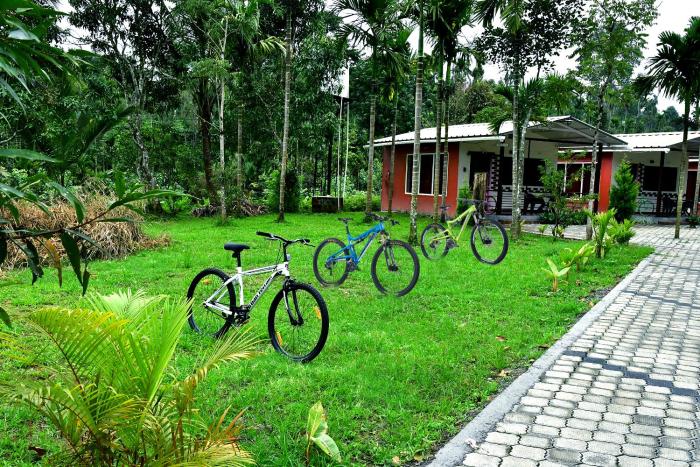 Rainy Cloud Homestay Private Cottages - 1KM Falls, Estate, Home Food